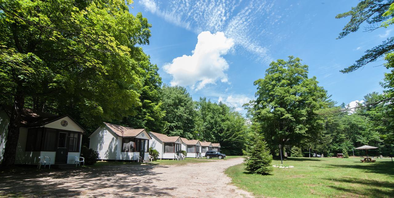 Profile Motel & Cottages ลินคอล์น ภายนอก รูปภาพ